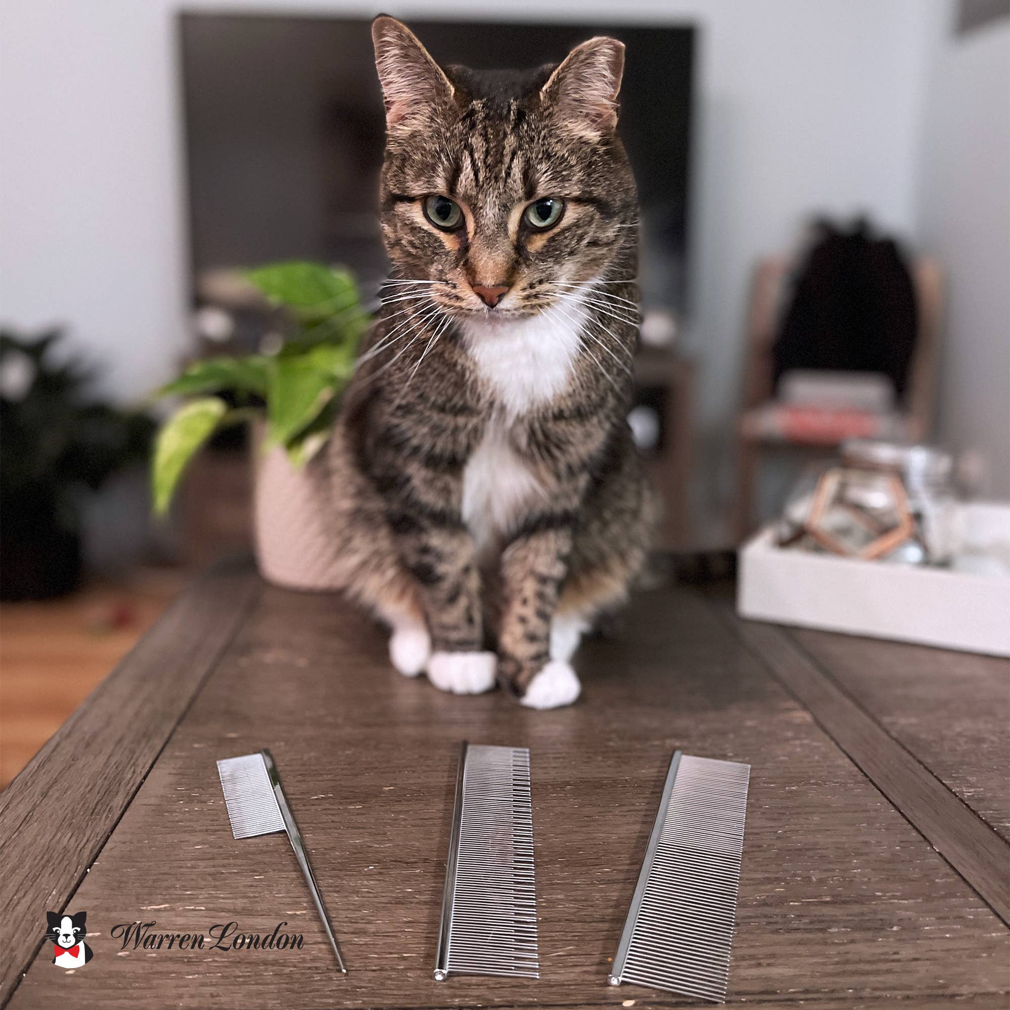 Warren London Dog Products - Carding Comb for Cats 7.5" - Gentle and Effective Grooming